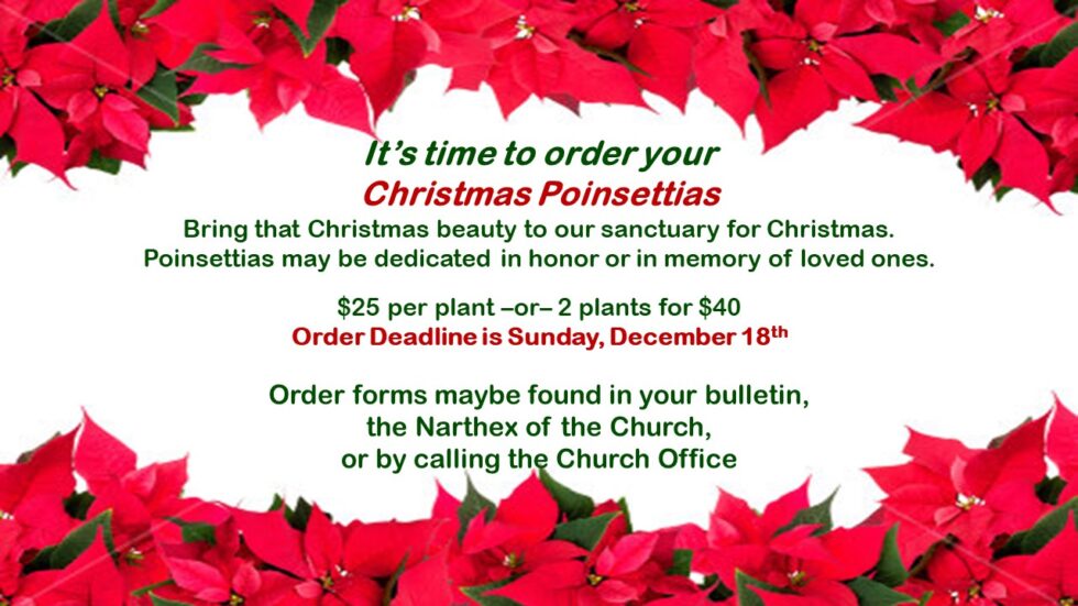 2023 Poinsettia Order Form - Milwaukee Metropolitan Community Church